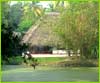 Marari Beach Resort, Alleppy