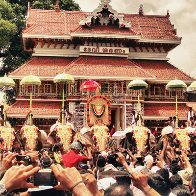 Cattle Race, Kerala