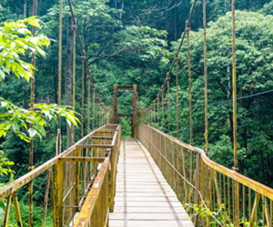 Kerala Hill Station