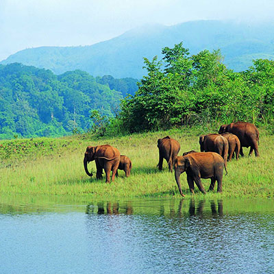 Periyar Lake, Kerala