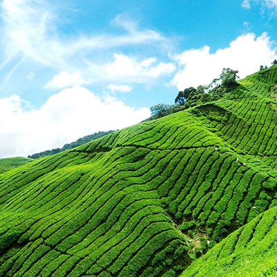 Kerala Hill Stations