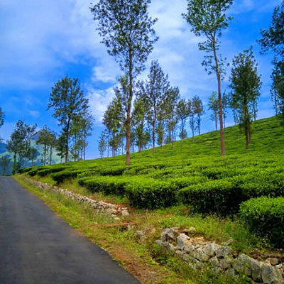 Wayanad, Kerala
